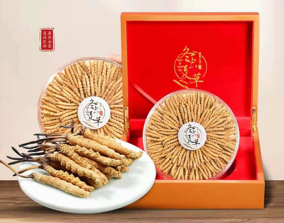 回收冬蟲夏草對采挖后的蟲草的保存